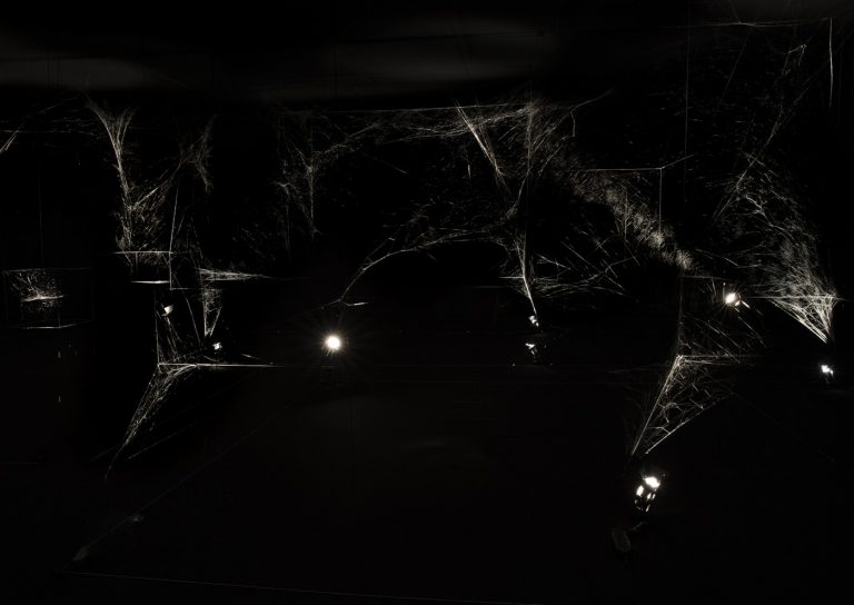 How to Entangle the Universe in a Spider Web