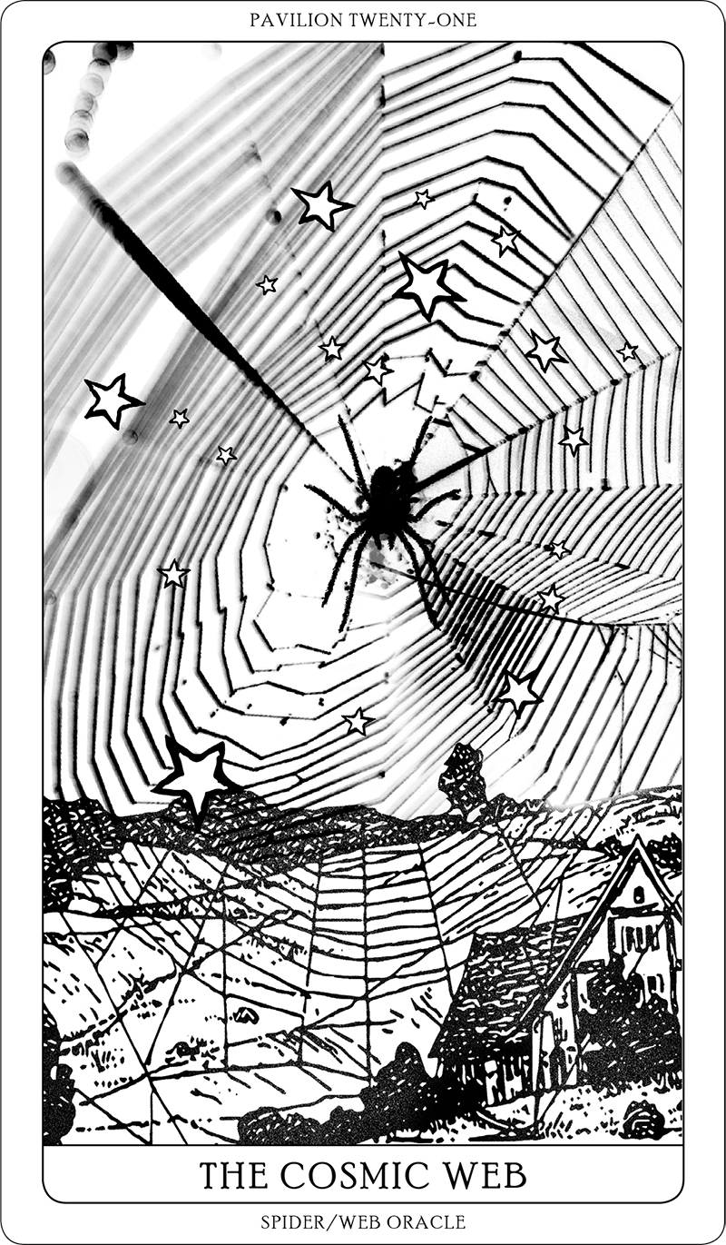 Spider/Web Pavilion 7