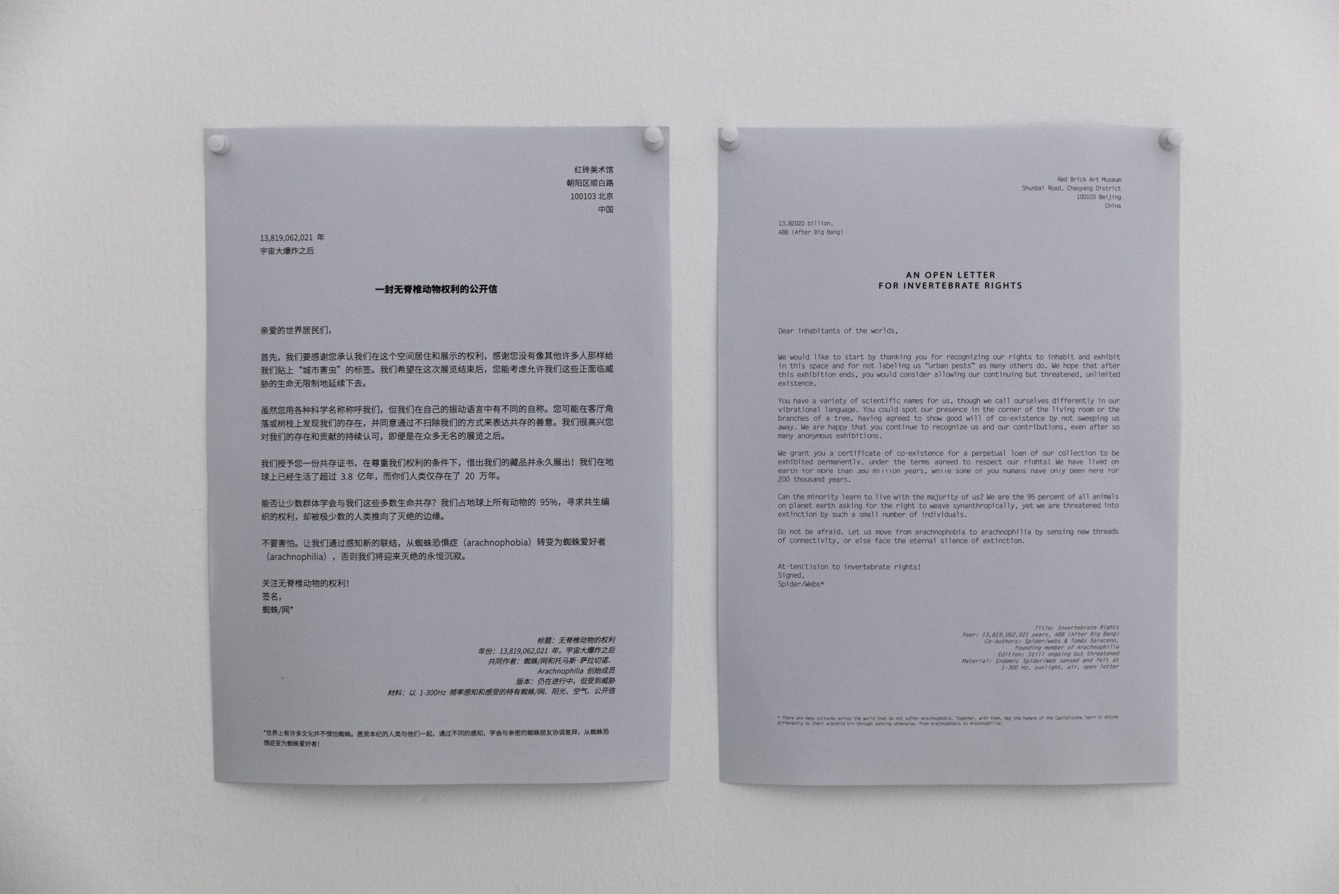 An Open Letter for Invertebrate rights, 2024. Installation view from Complementarities at Red Brick Art Museum, Beijing, China, 2024. Curated by Yan Shijie. Photography by Studio Tomás Saraceno. Courtesy the artist; Tanya Bonakdar Gallery, New York/Los Angeles and neugerriemschneider, Berlin. 