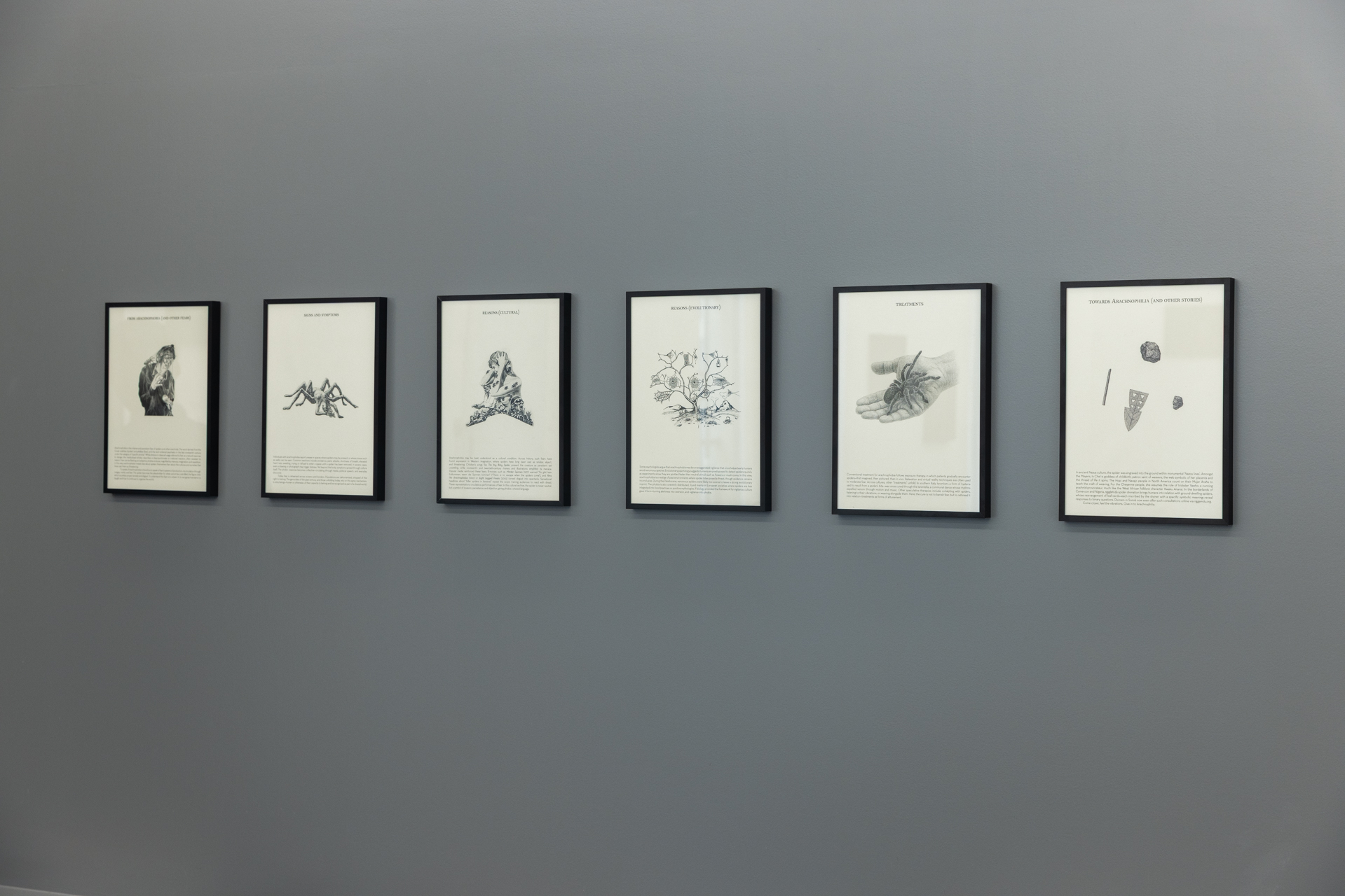 From arachnophobia to Arachnophilia