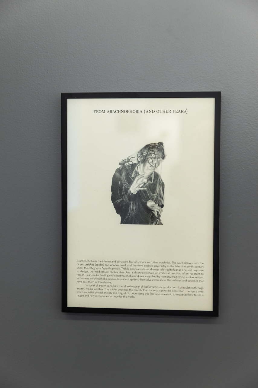 From arachnophobia to Arachnophilia