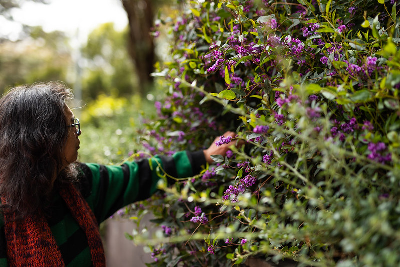 Encountering Tasmanian flora towards LEAF, LEAVES, LIFE, LIVES, 2022.