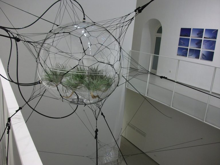 From Camogli to San Felipe, spiders weaving stars…