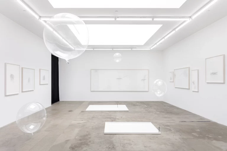 Tomás Saraceno